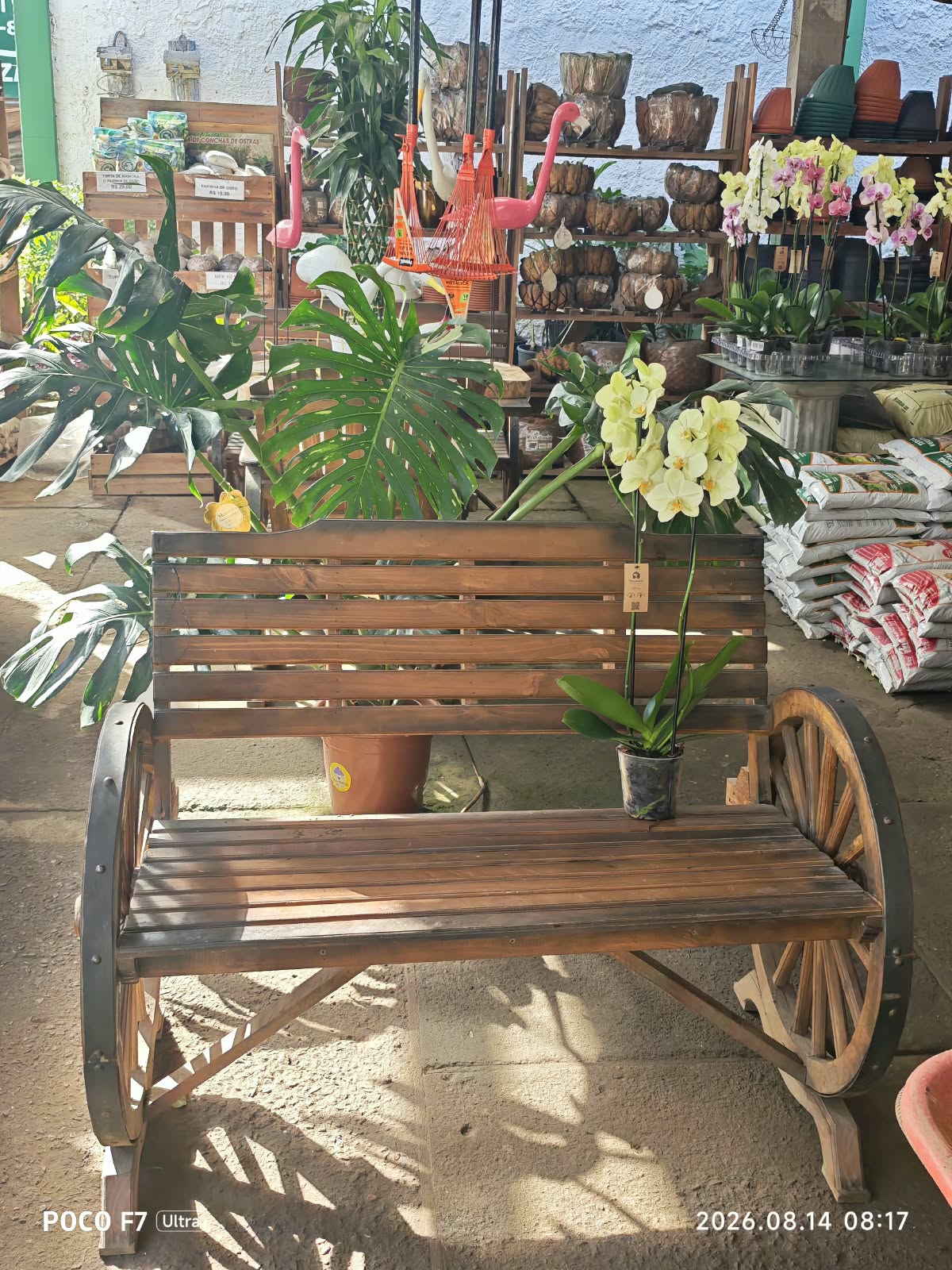 Ambiente interno do Horto